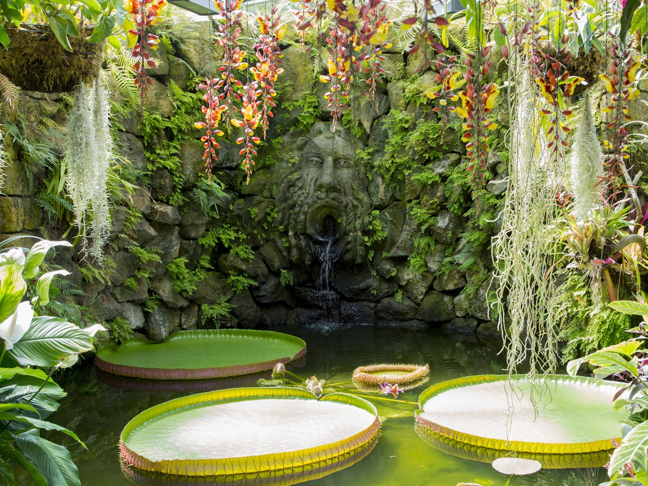 Giardini la mortella orari: scoprili sul nostro sito! 