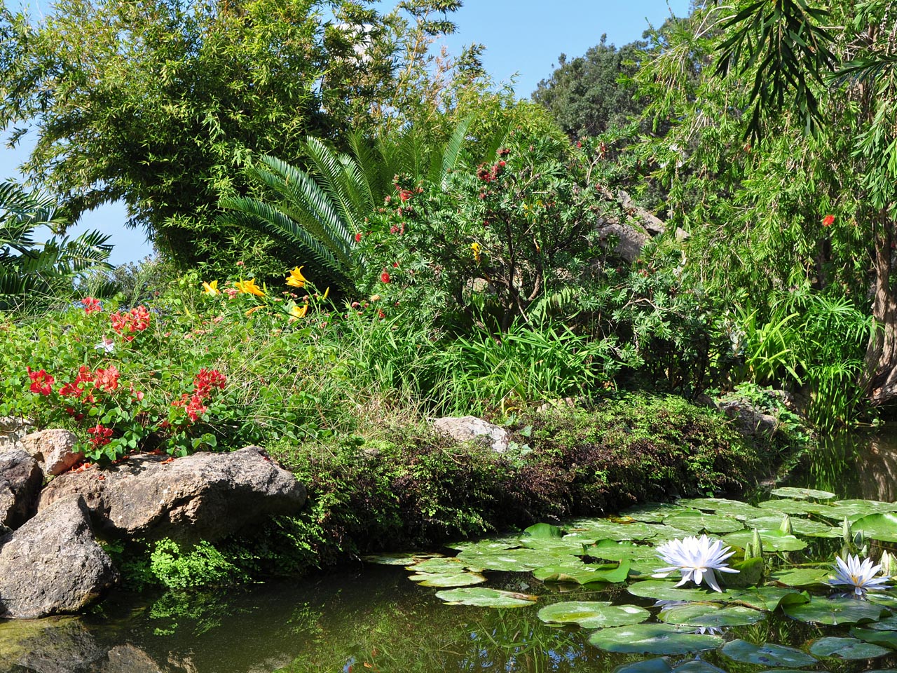 Giardini la mortella prezzi ed orari