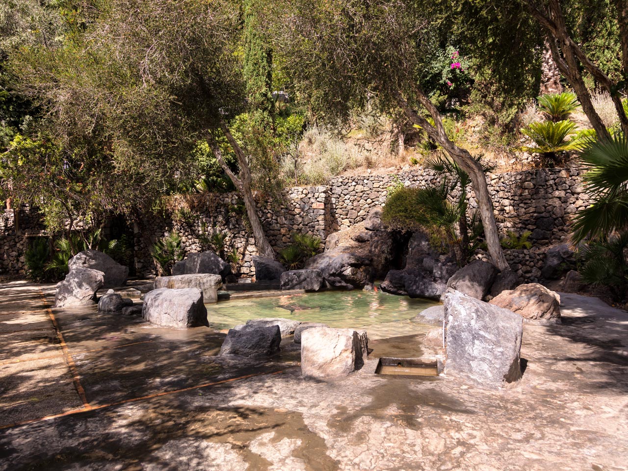 Terme negombo prezzi