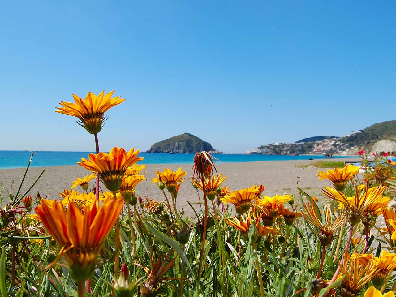 ischia spiaggia dei maronti